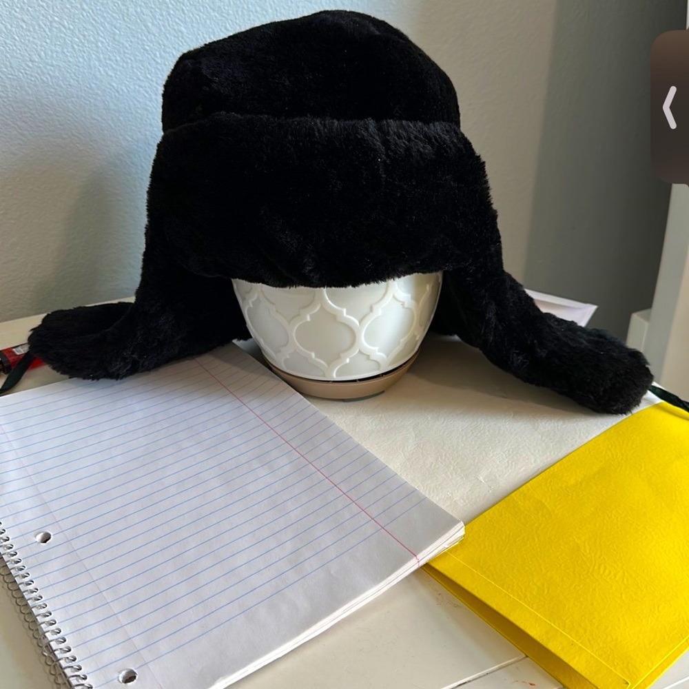 Ushanka Ear Flap Hat USSR Soviet Union Uniform Winter real fur hat